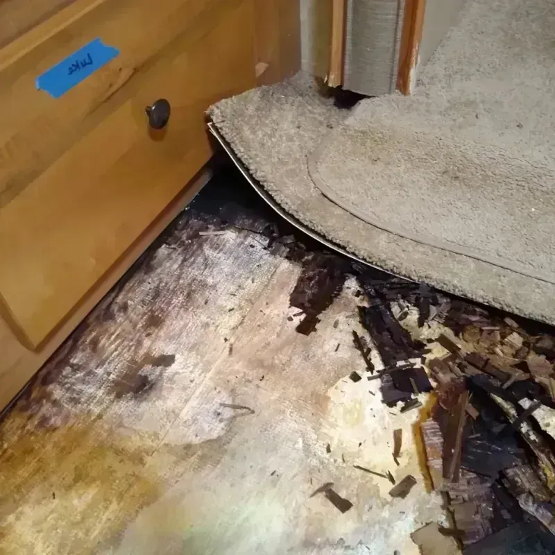 Wood Floor Water Damage in Mogadore, OH